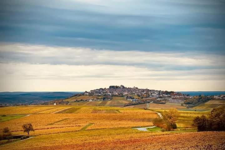 Thauvenay Gite Entre Vignes Et Loire מראה חיצוני תמונה
